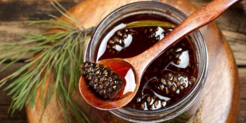 Сладко от борови шишарки: 8 вкусни рецепти за сладко от борови шишарки